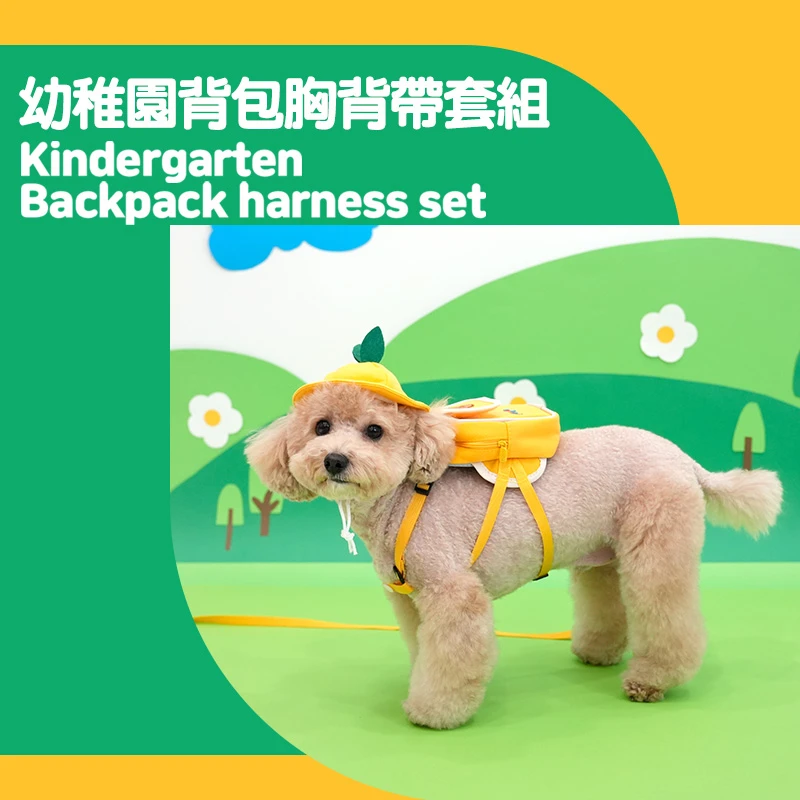 6200_6a084306dc288.jpg.webp