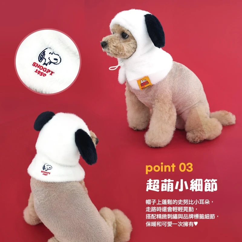 6200_6a0855534ce6e.jpg.webp