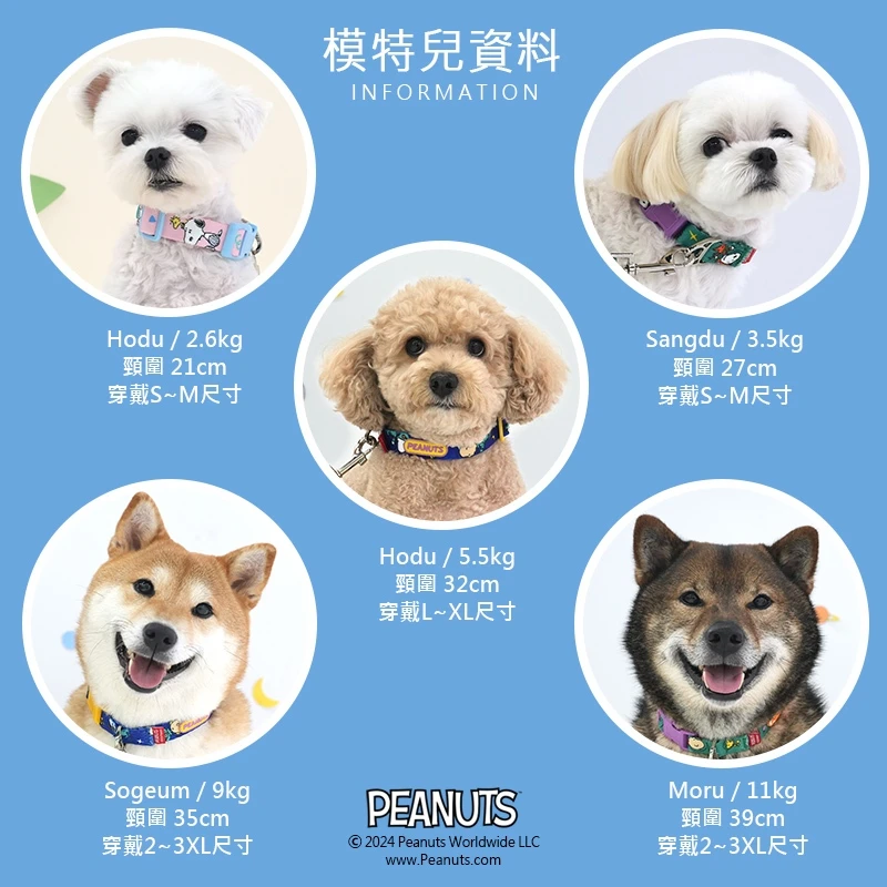 6200_6a0976b857ff6.jpg.webp