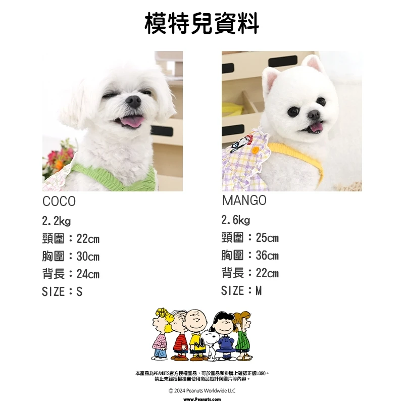 6200_6a097d35e41ca.jpg.webp