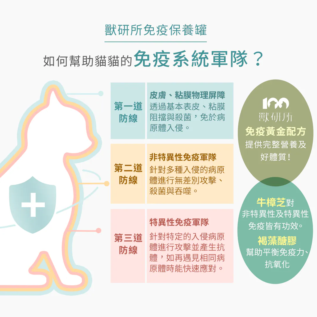 6200_6a1550b75c17d.webp