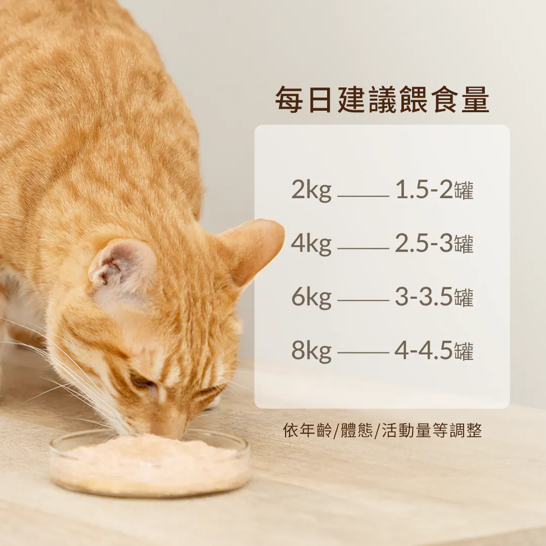 6200_6a1550b773ad9.webp