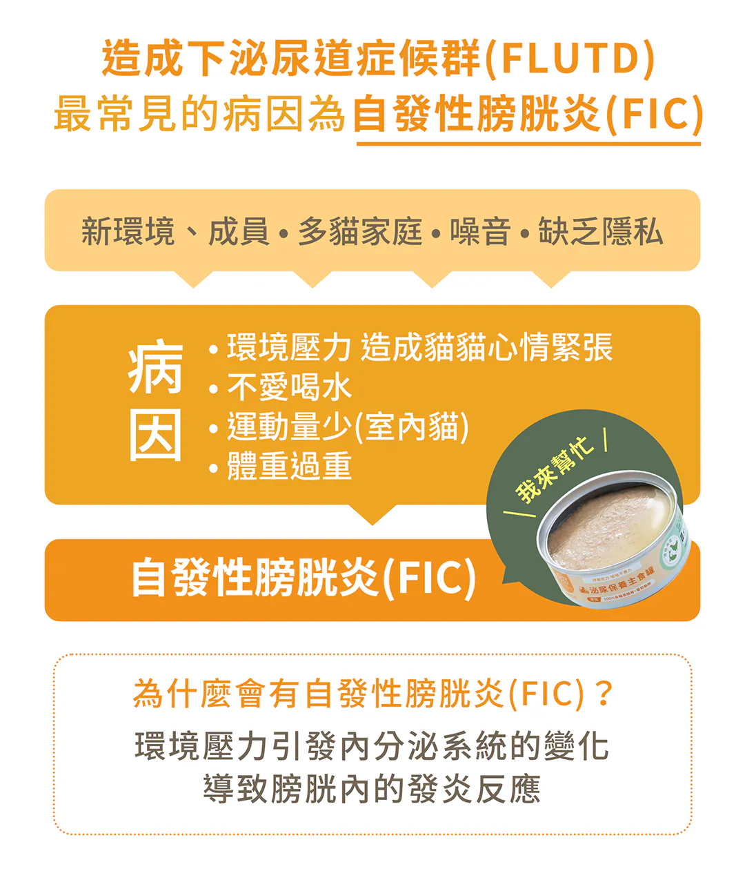 6200_6a15519fd1bf8.webp