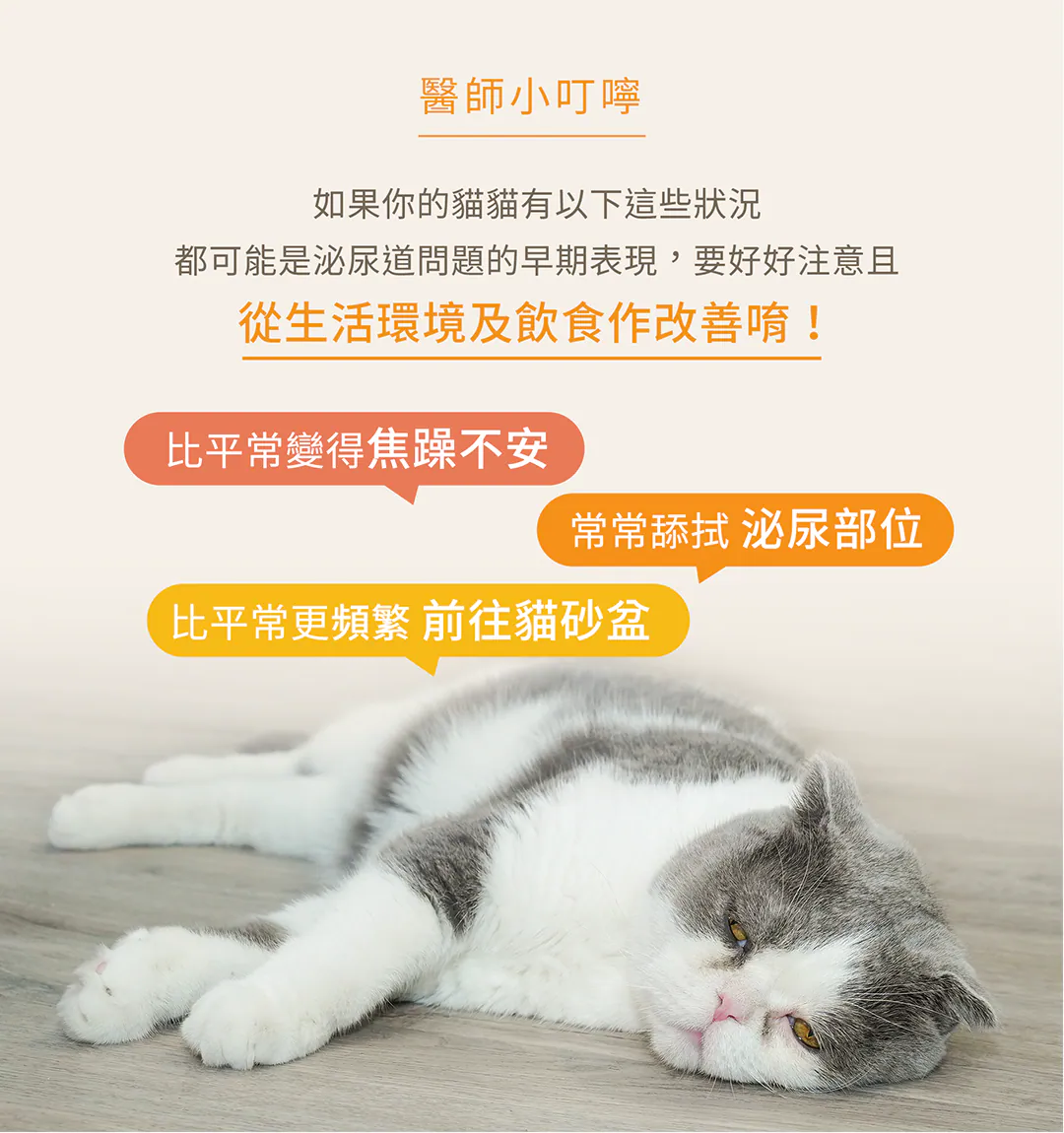 6200_6a1551a005dd9.webp
