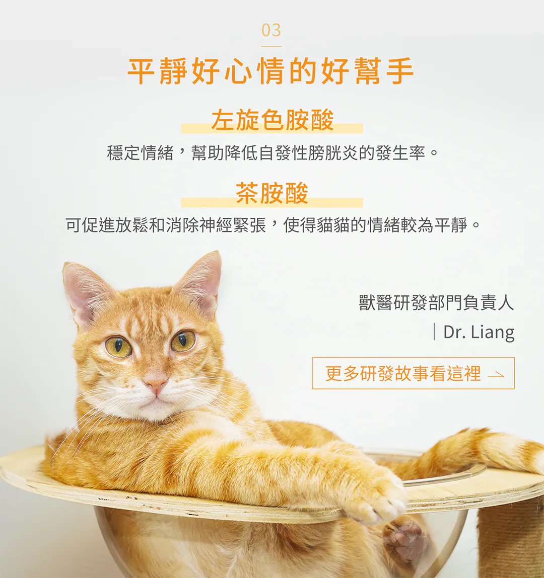 6200_6a1551a03386a.webp