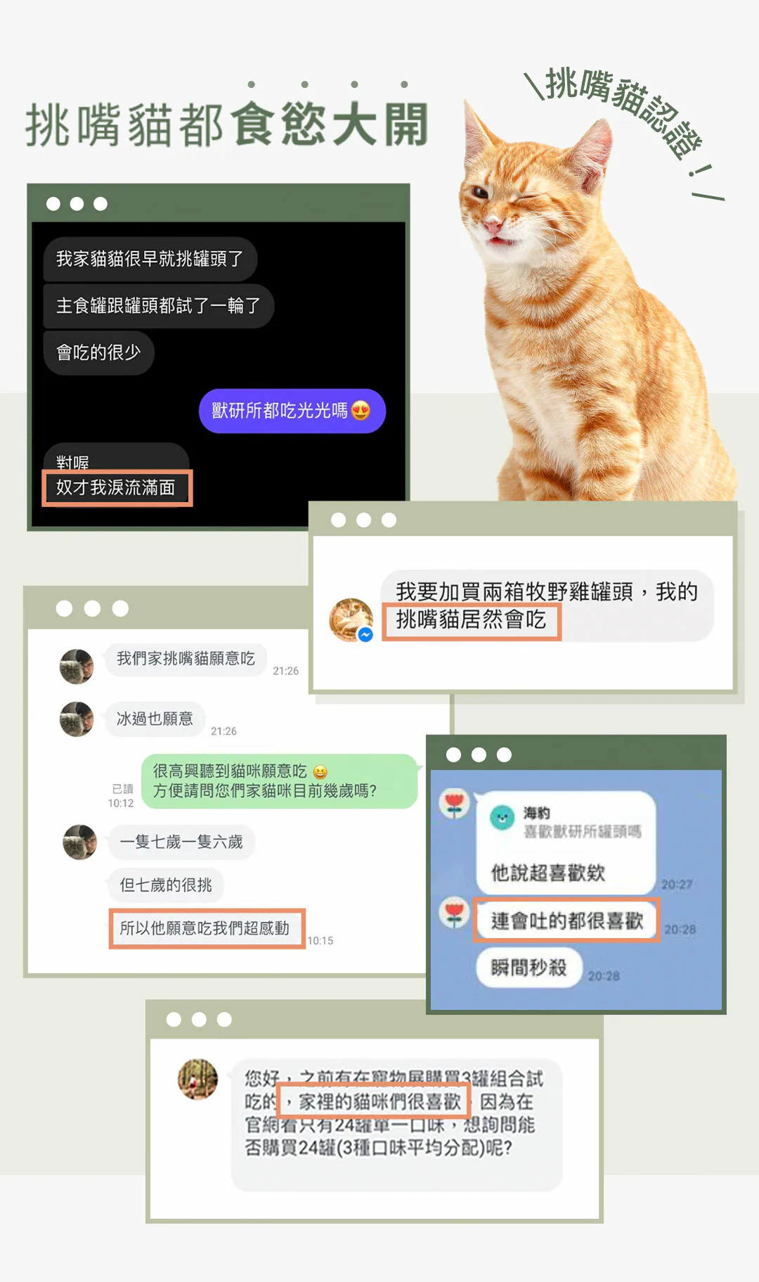 6200_6a1553a9a23cc.webp