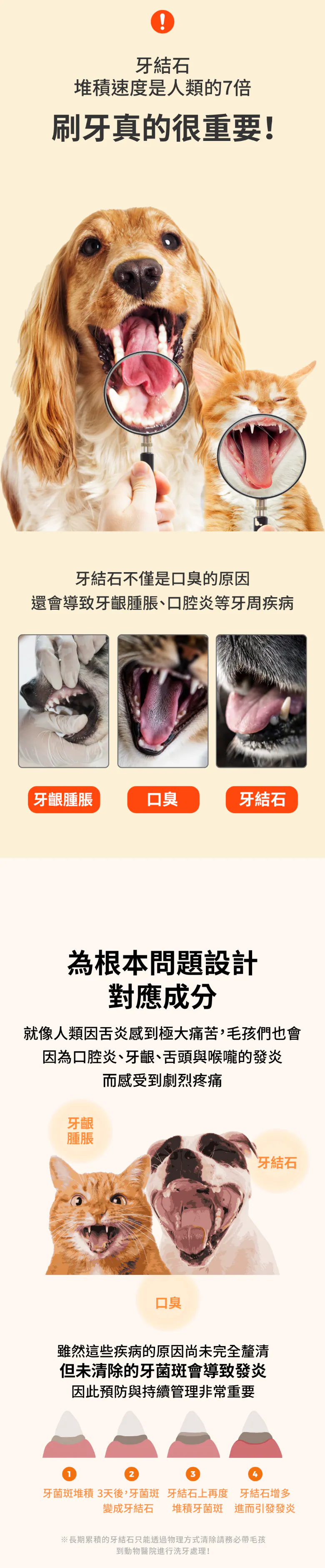 6200_6a1557fd8f421.webp