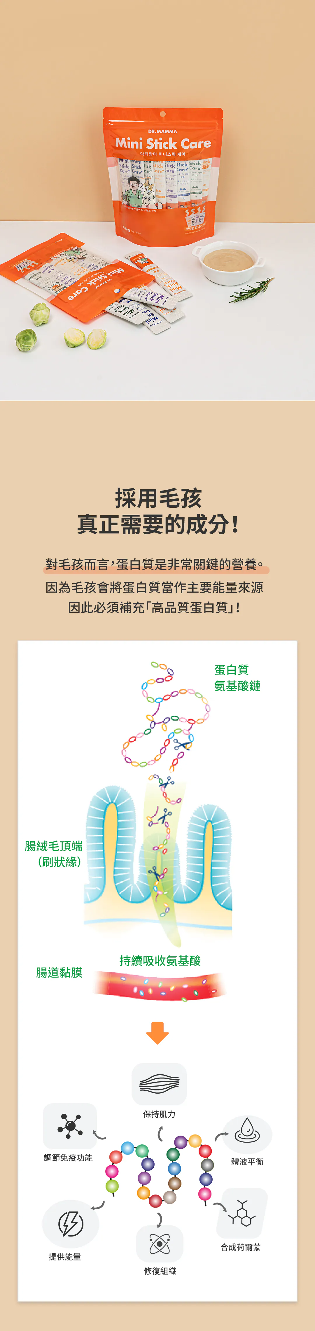 6200_6a1557fde6879.webp