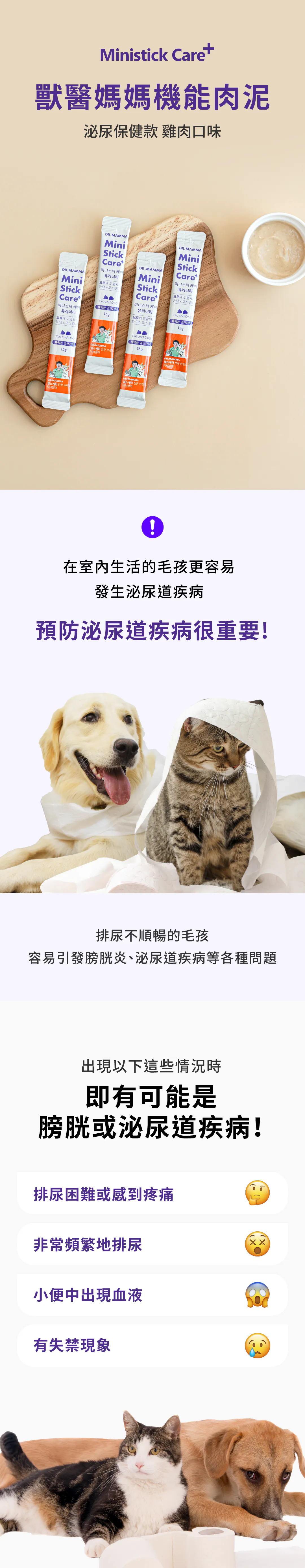 6200_6a1559de3d3b2.webp