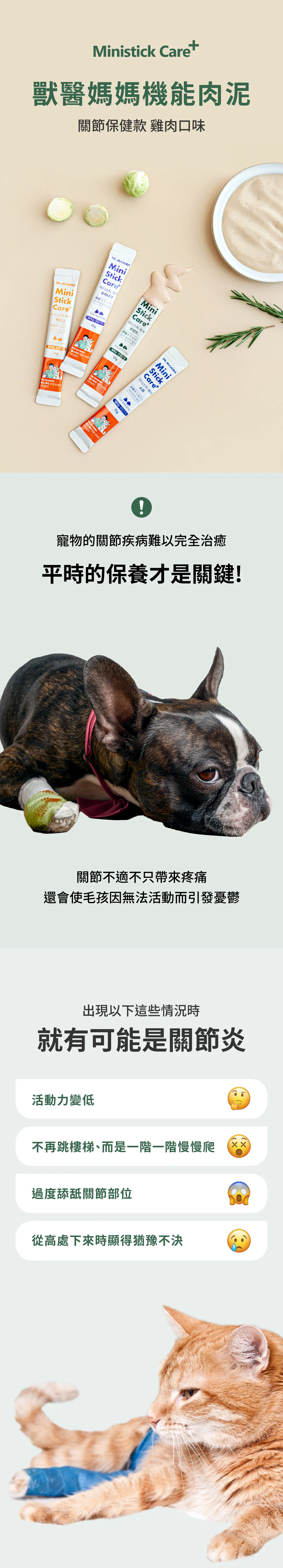 6200_6a1560b35a033.webp