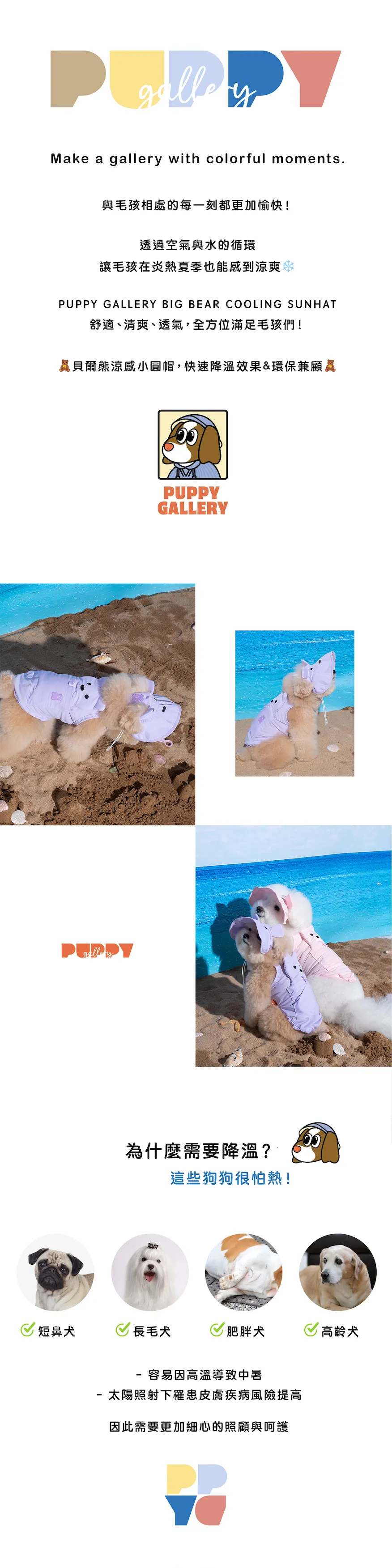 6200_6a17f8441629e.webp