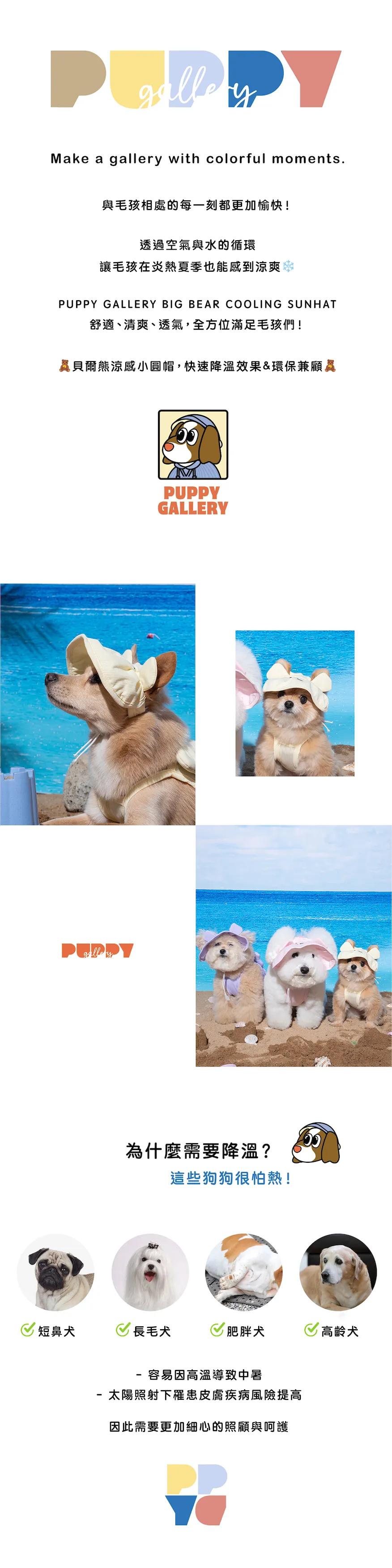 6200_6a17f85fa8928.webp