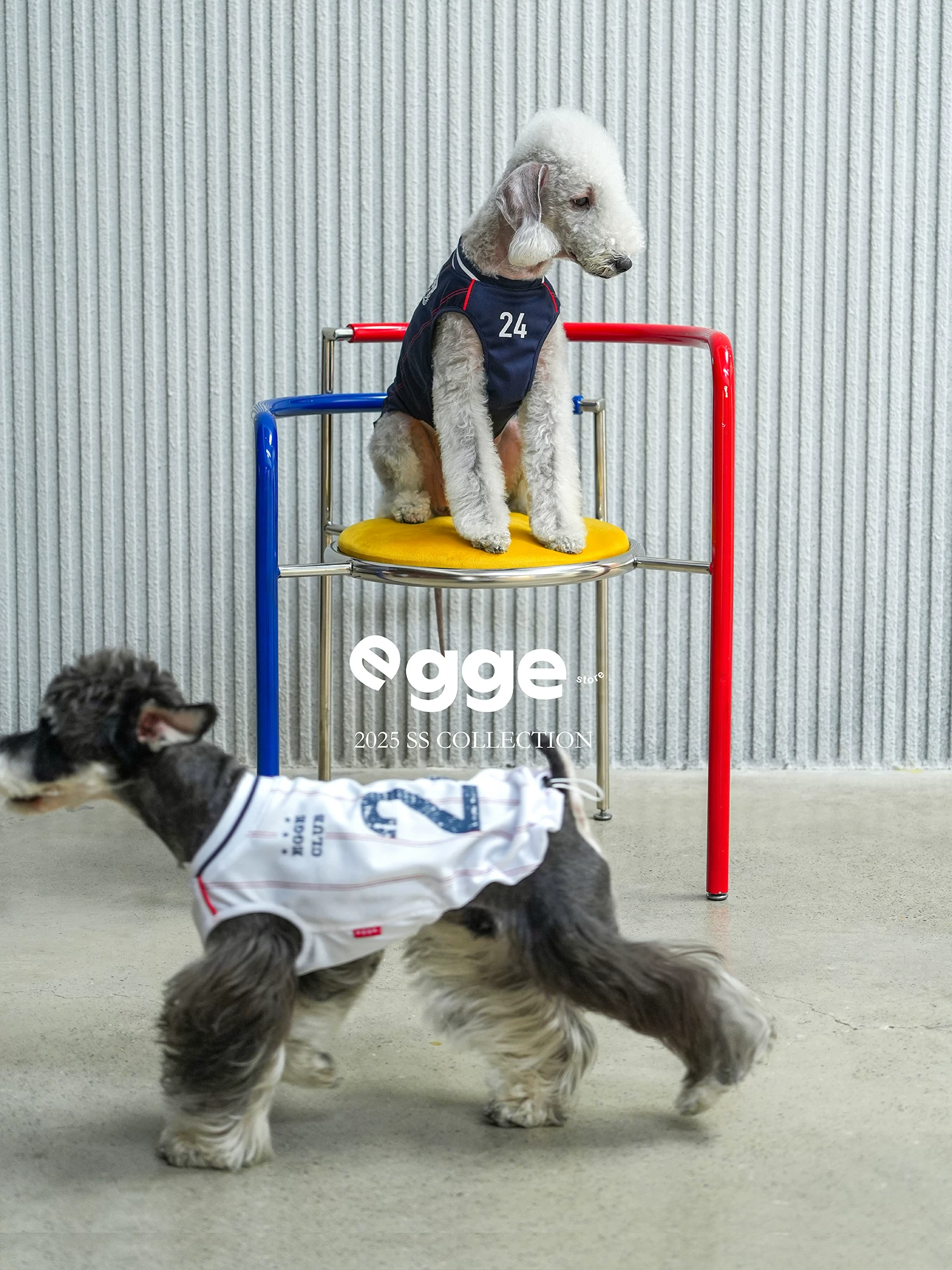 egge春夏復古球衣背心