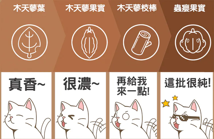 6200_6a201e4b20f9f.webp