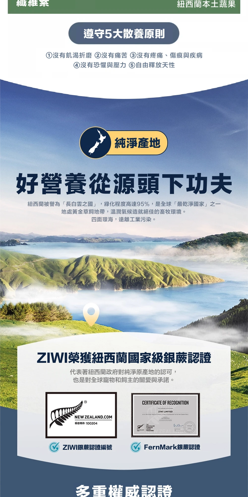 6200_6a213910b55ba.jpg.webp