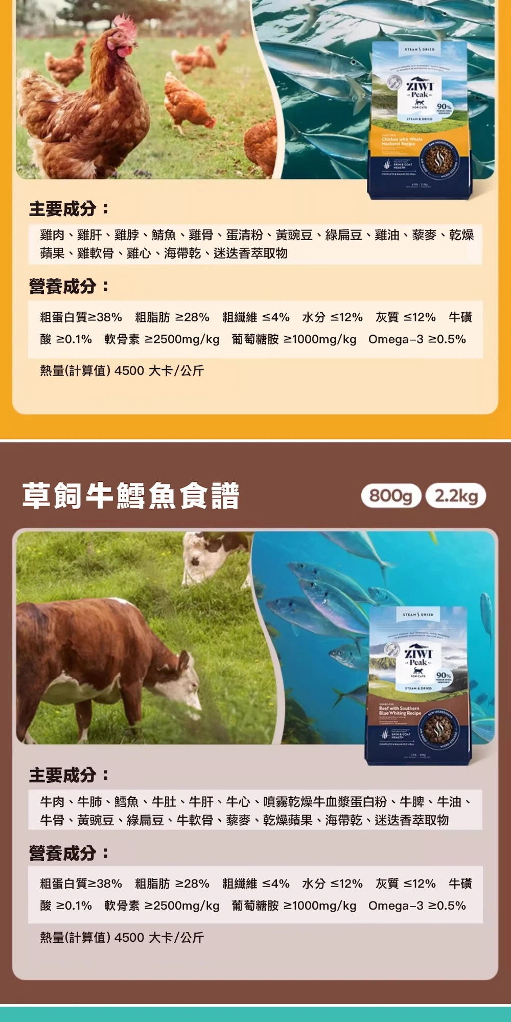 6200_6a2139d49a998.jpg.webp