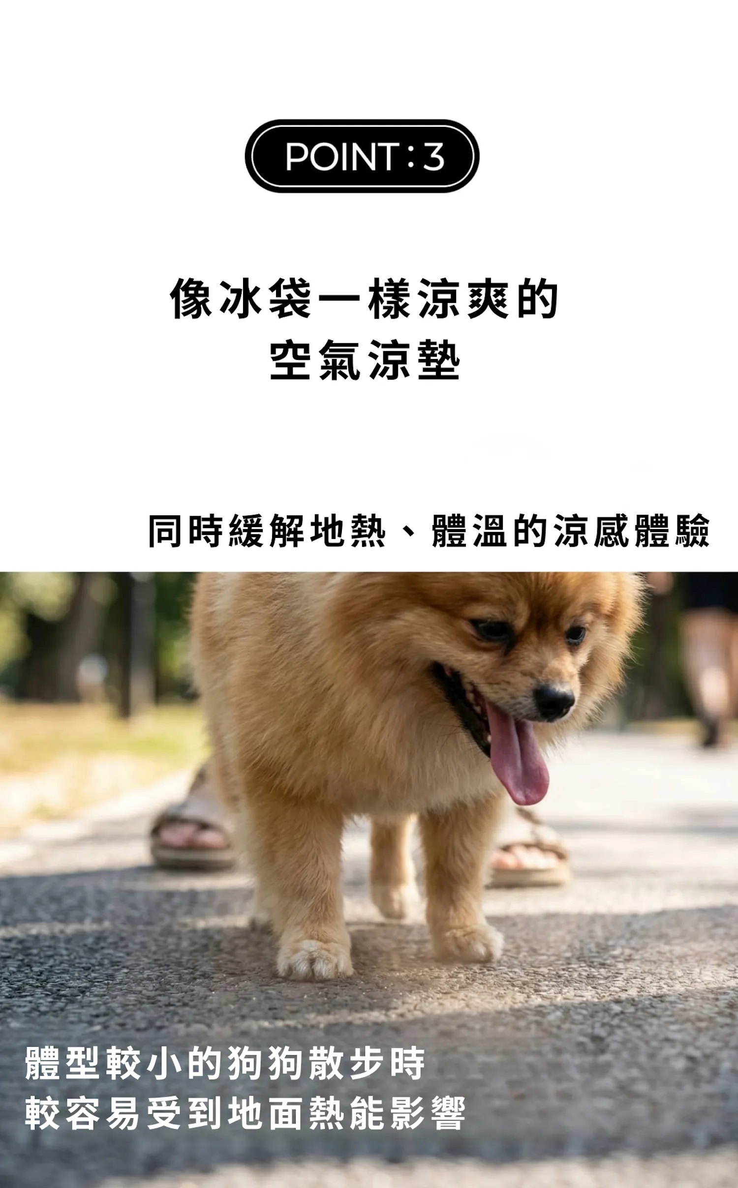 6200_6a2fe936d8f5b.webp