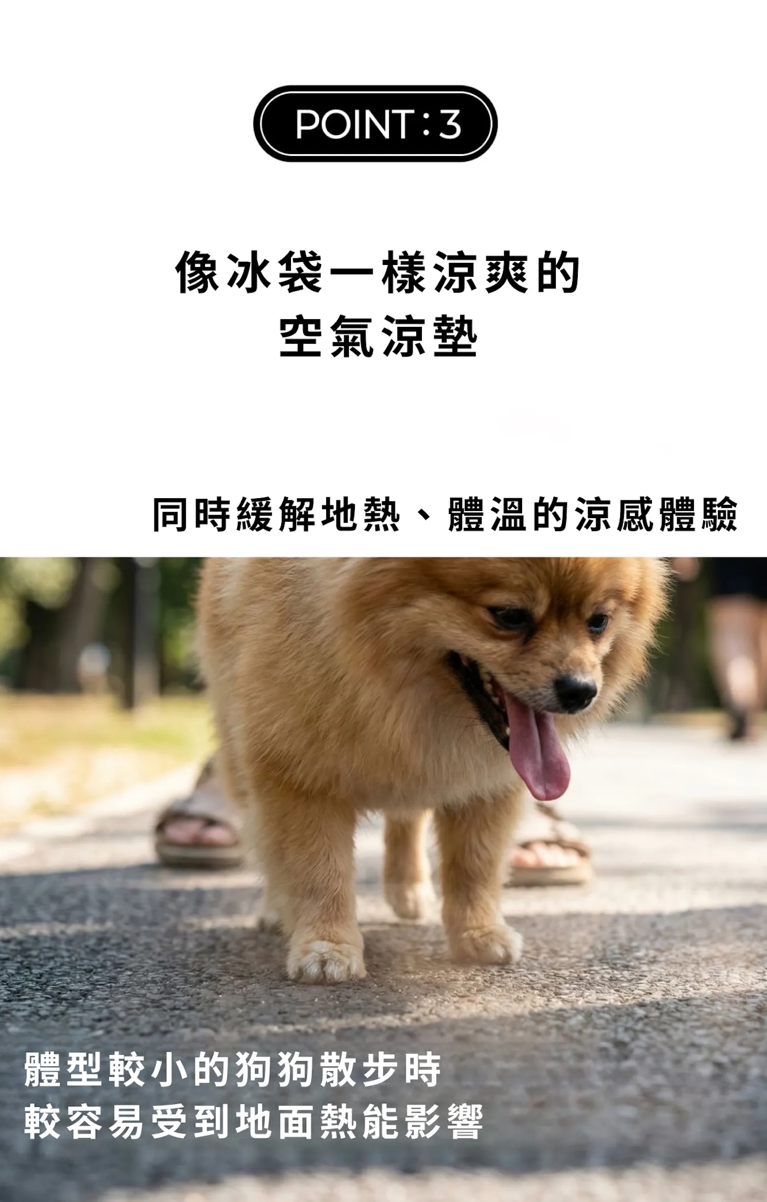 6200_6a2fea700d0f8.webp