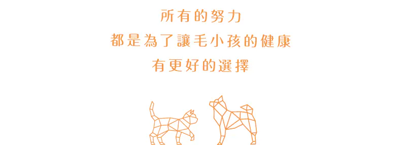 6200_6a3137d95b1e3.webp