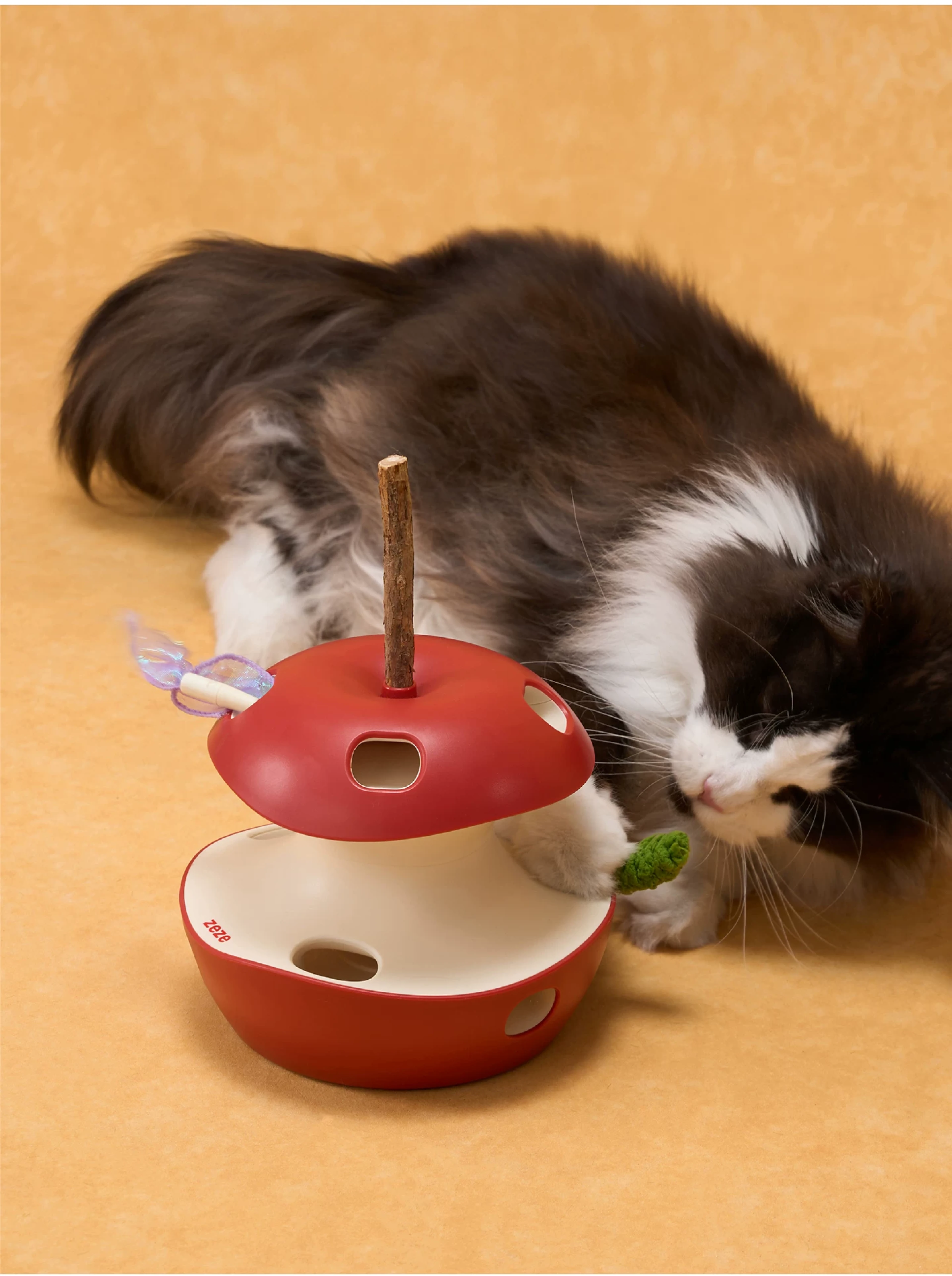 6200_6a3252de6698f.png.webp