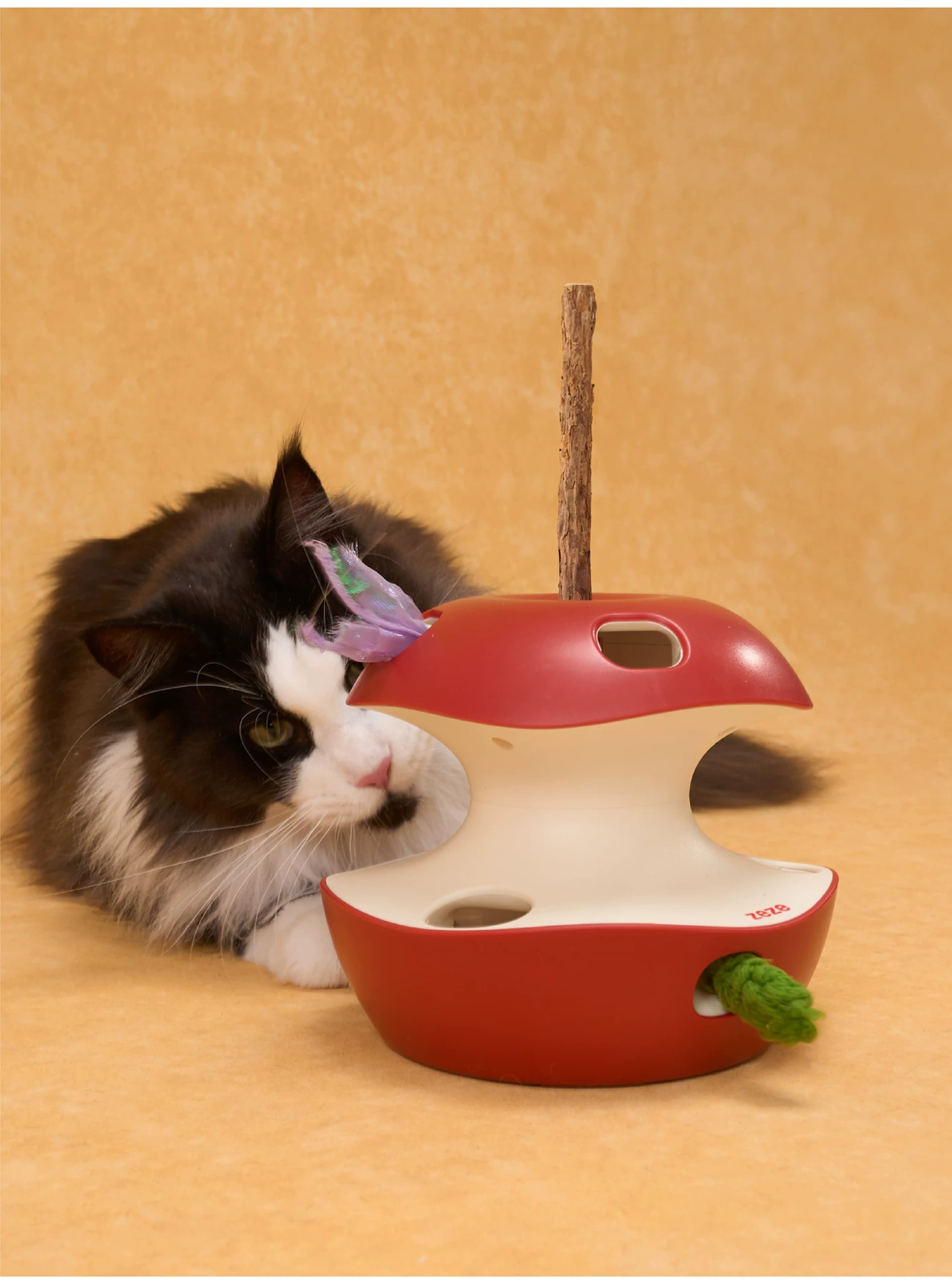 6200_6a3252f467372.png.webp
