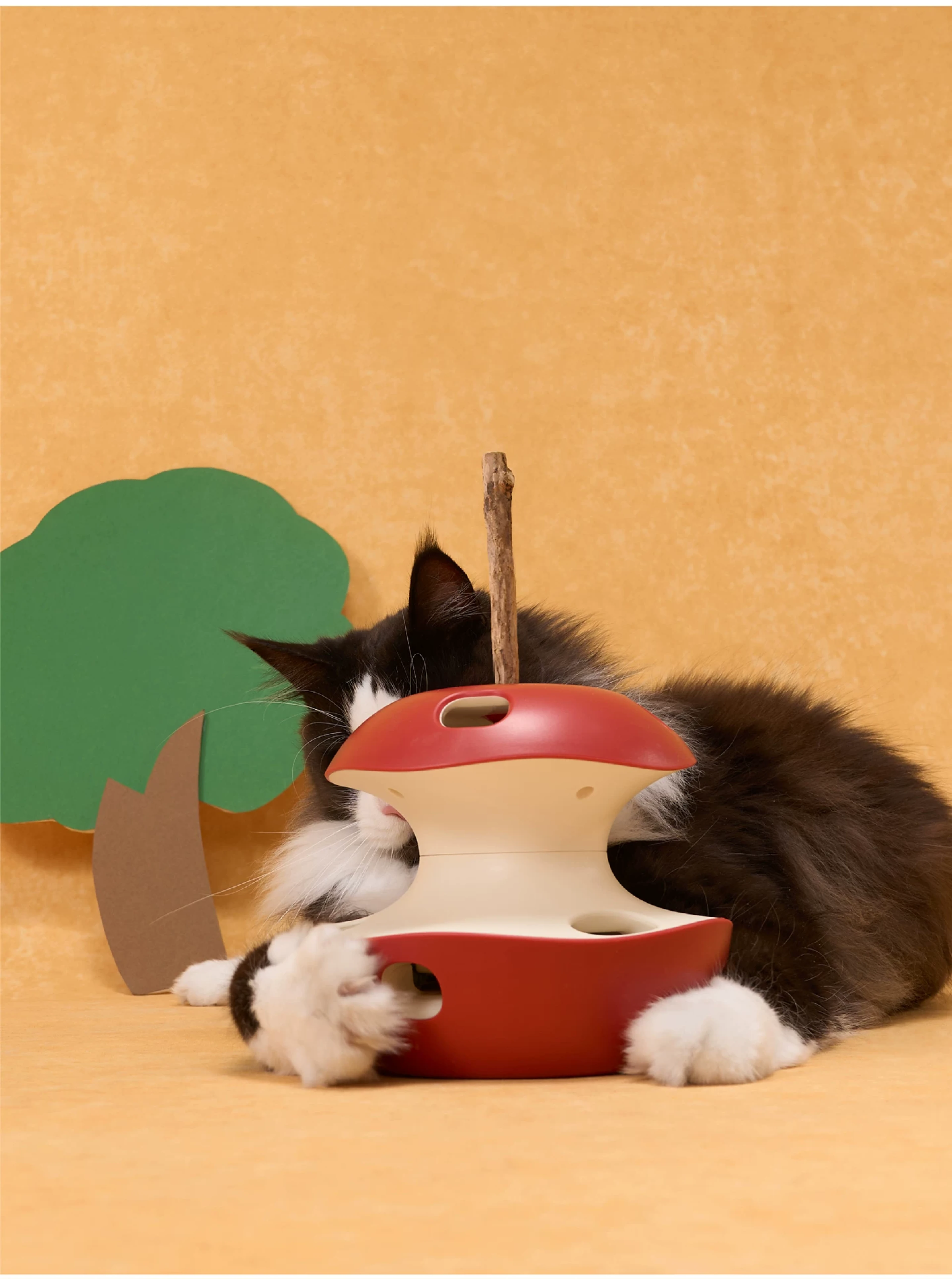 6200_6a325301b162e.png.webp