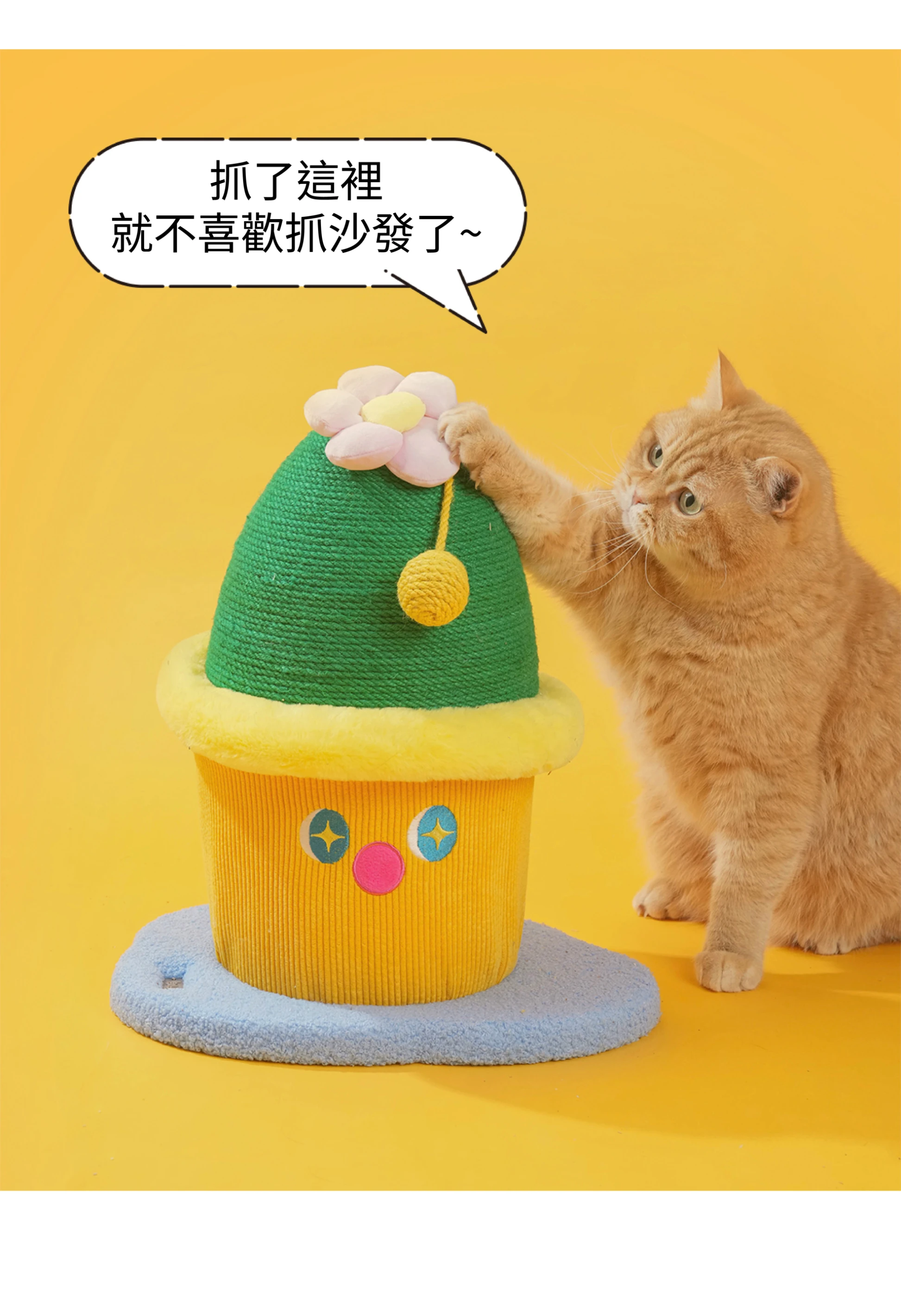 仙人球盆栽磨爪工具