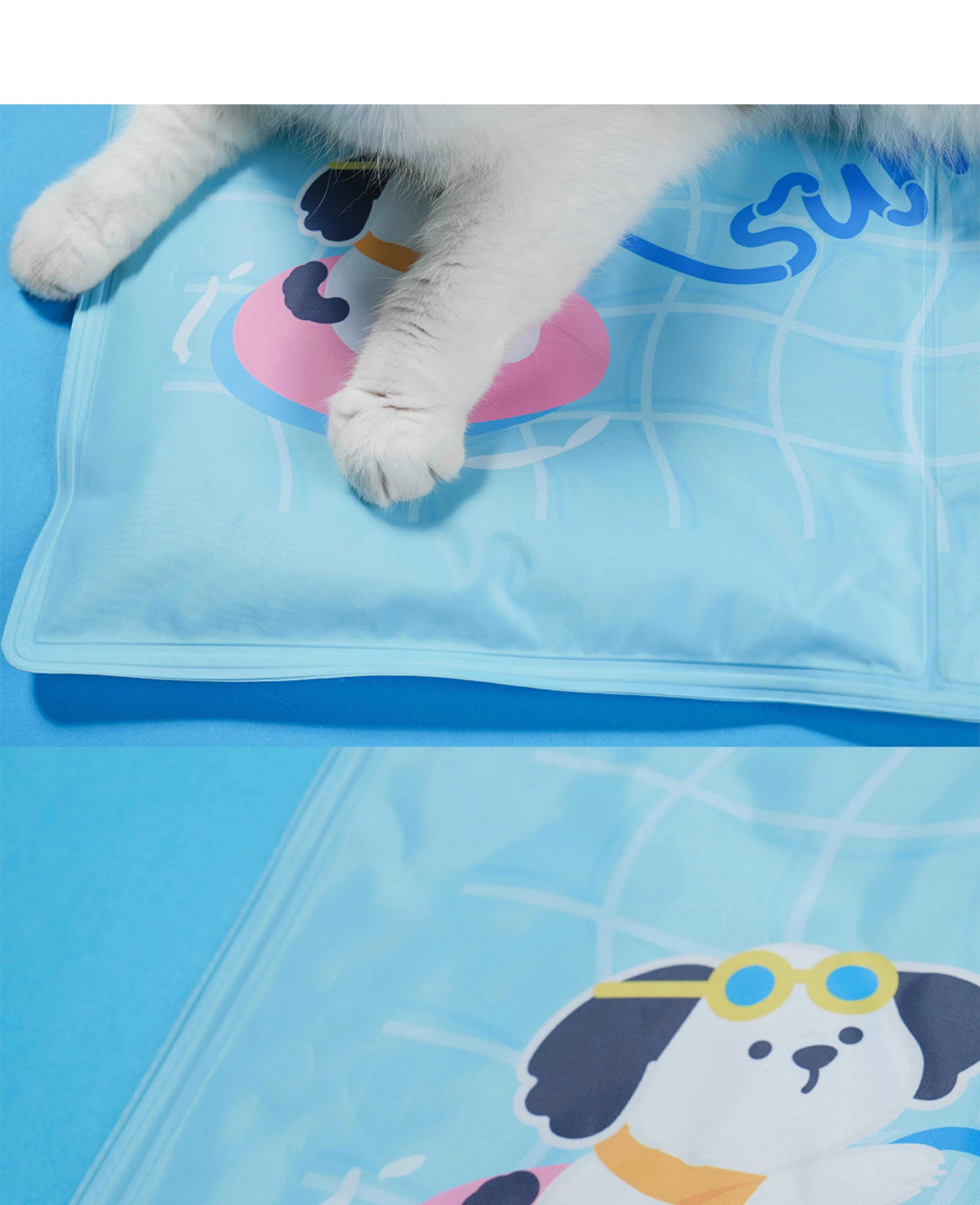 6200_6a325c7b871fa.jpg.webp