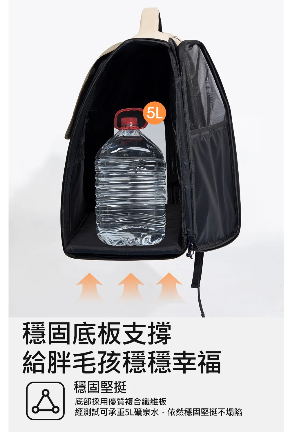6200_6a3d20a89fc37.jpg.webp