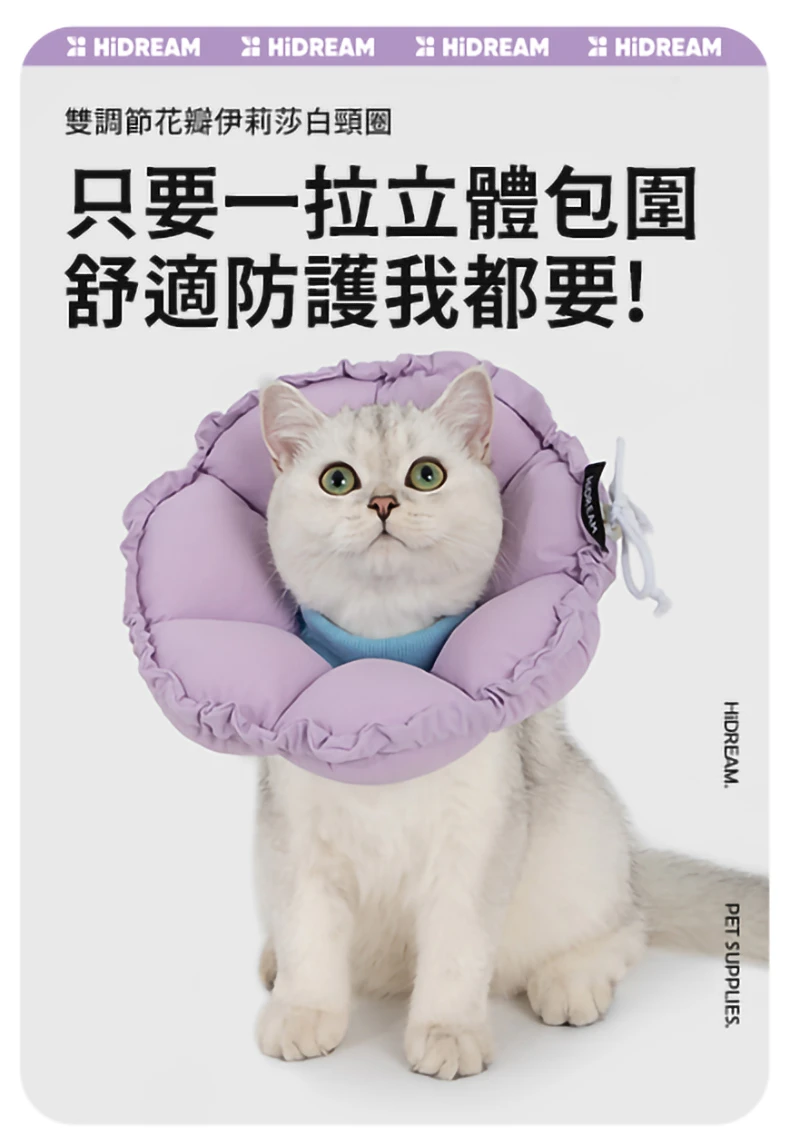 6200_6a3e50b8685a6.jpg.webp