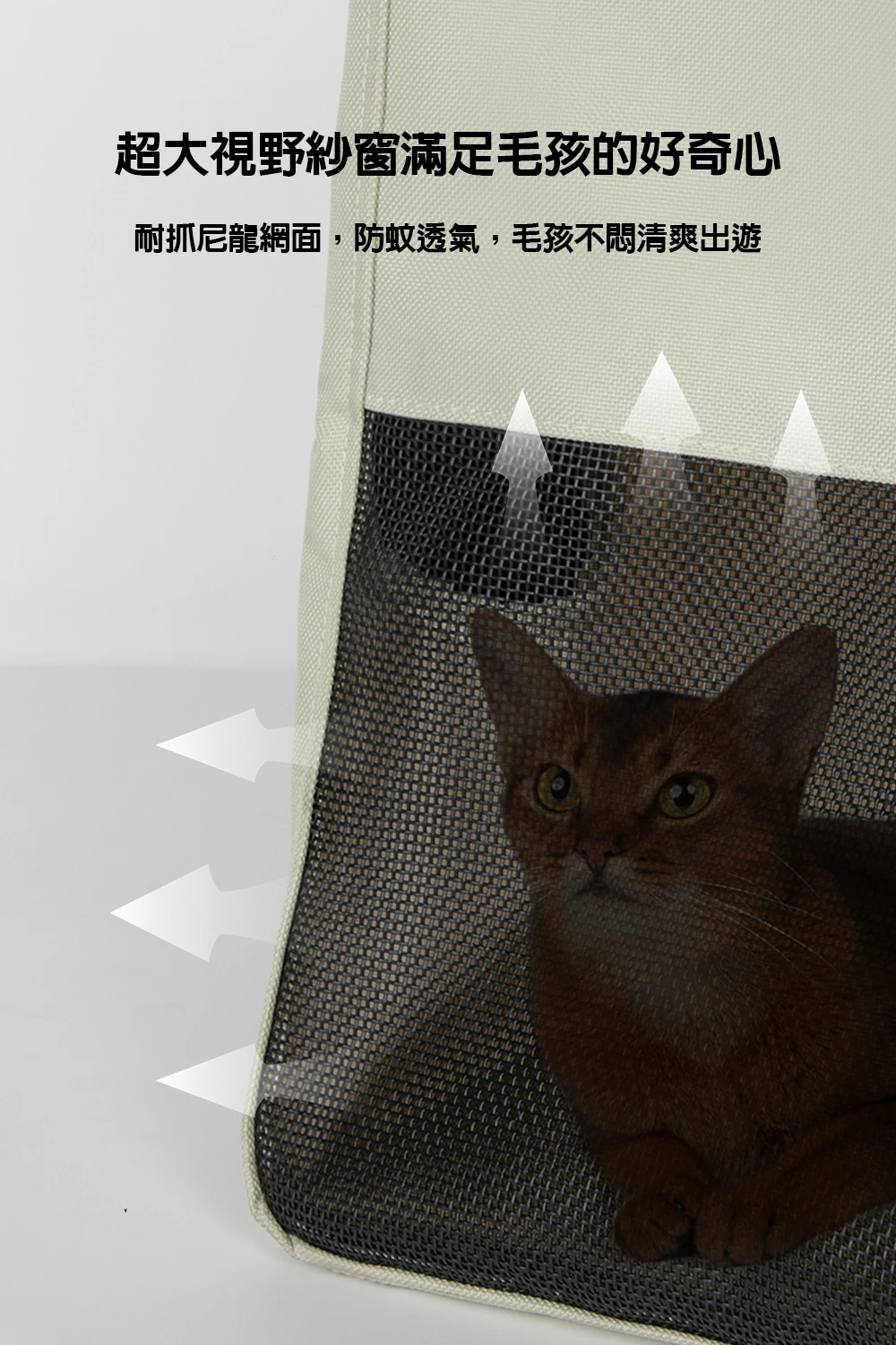 6200_6a3e544db564e.jpg.webp