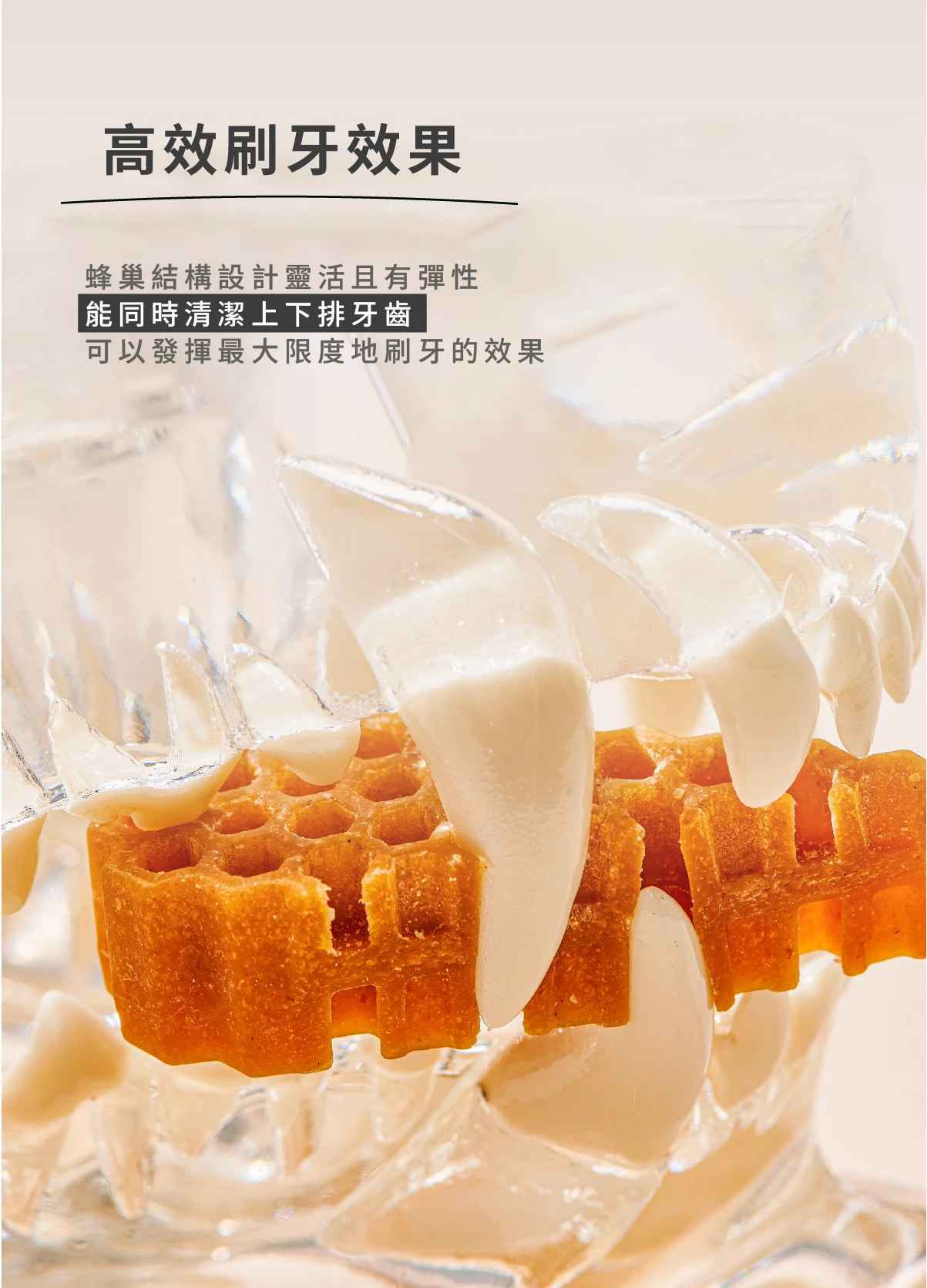 6200_6a50c65849f04.png.webp