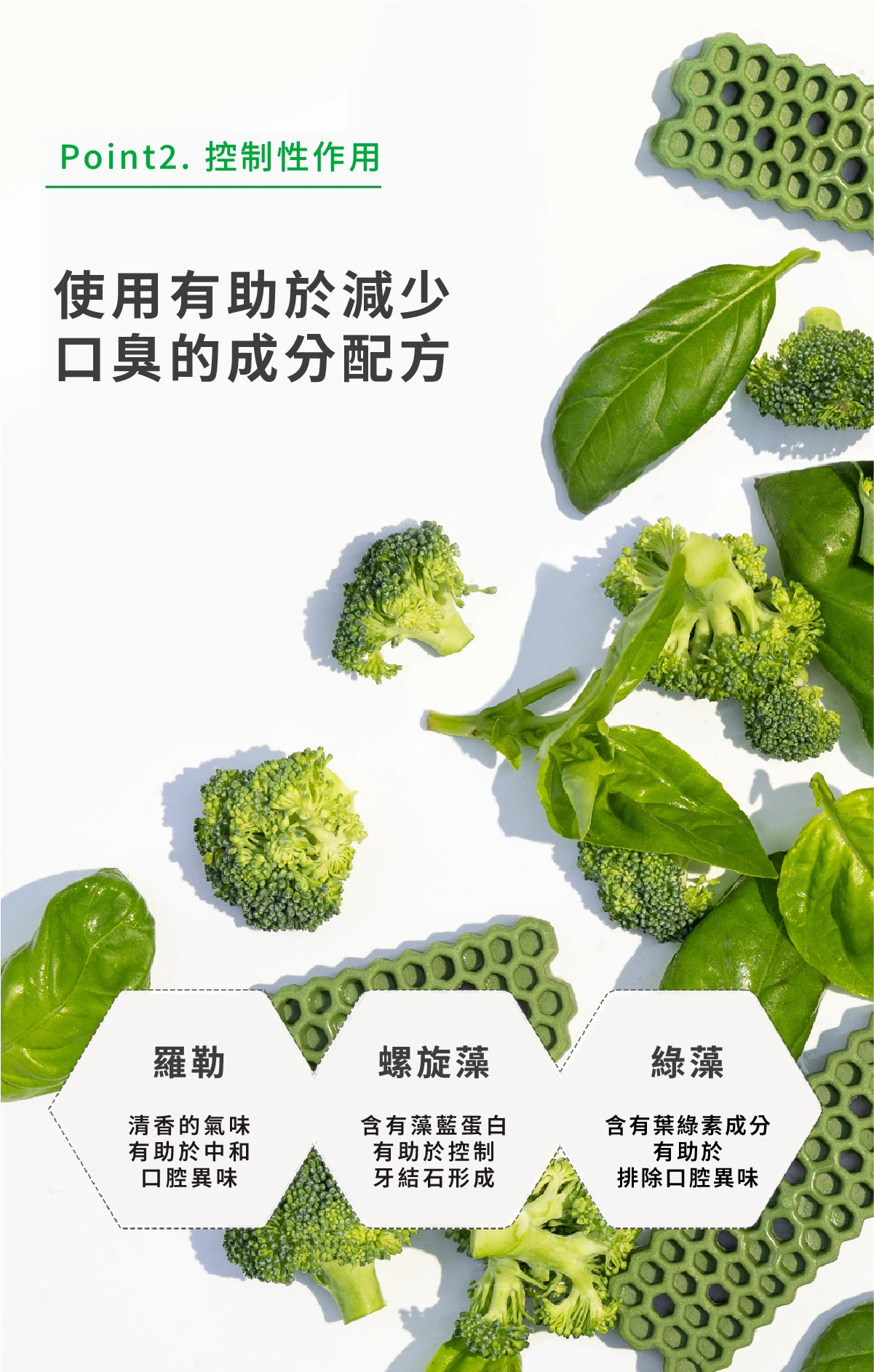6200_6a50c767842d9.png.webp