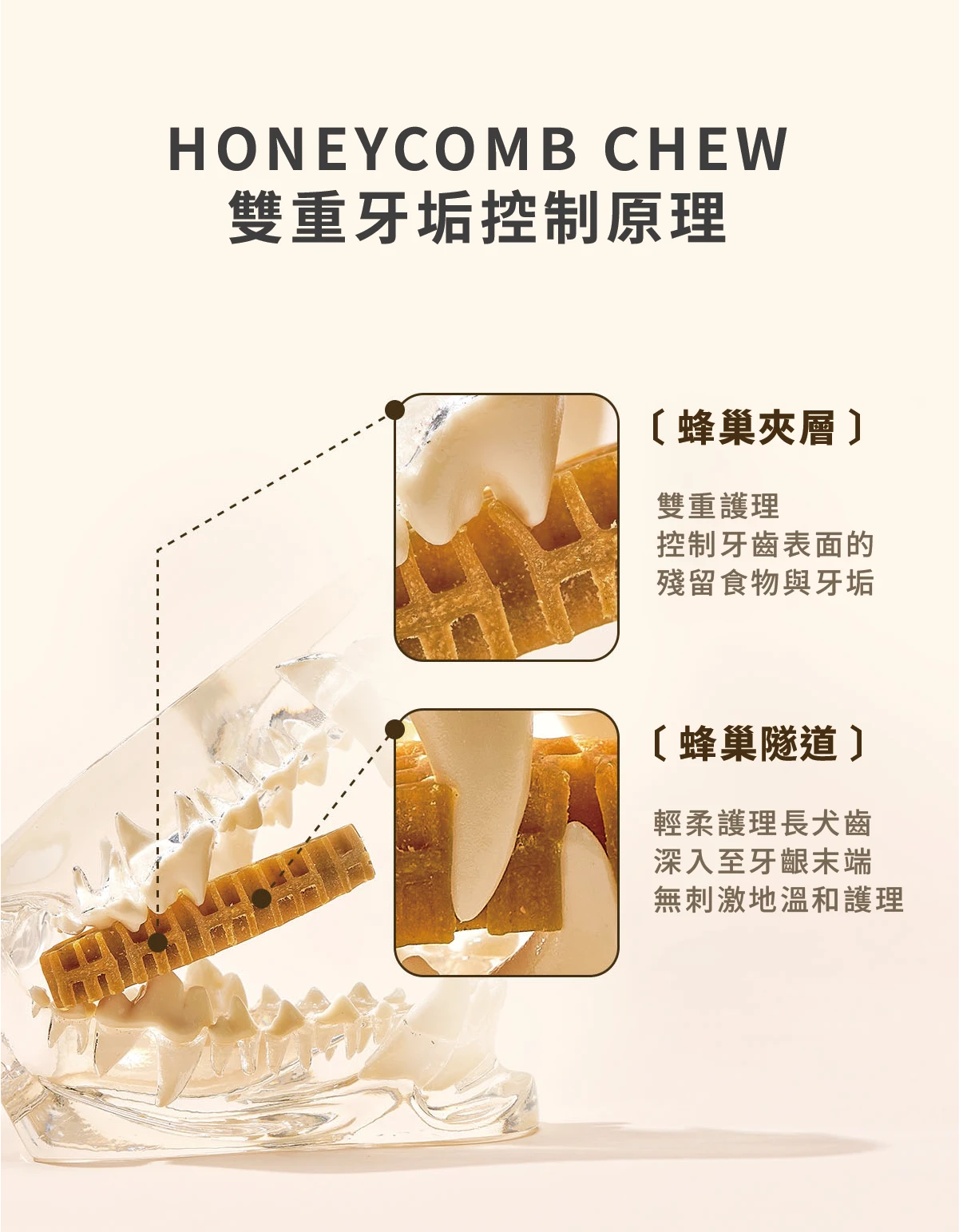 6200_6a50c870a4a35.png.webp