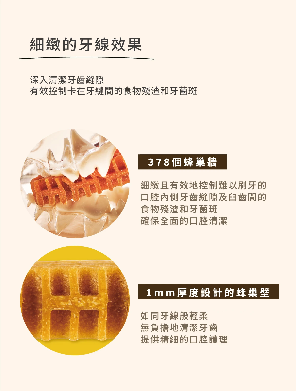 6200_6a50c870d2338.png.webp