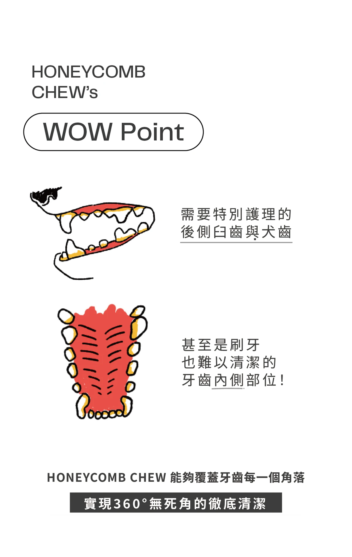 6200_6a50c87197e3a.png.webp