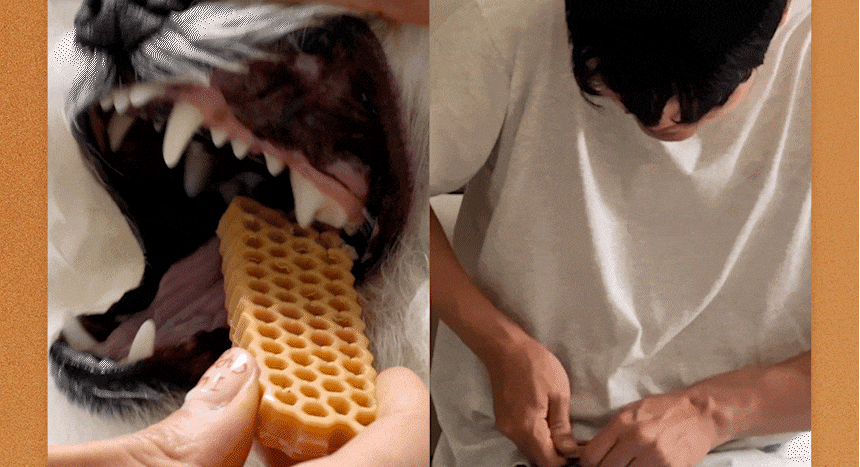 6200_6a50c99a95011.gif