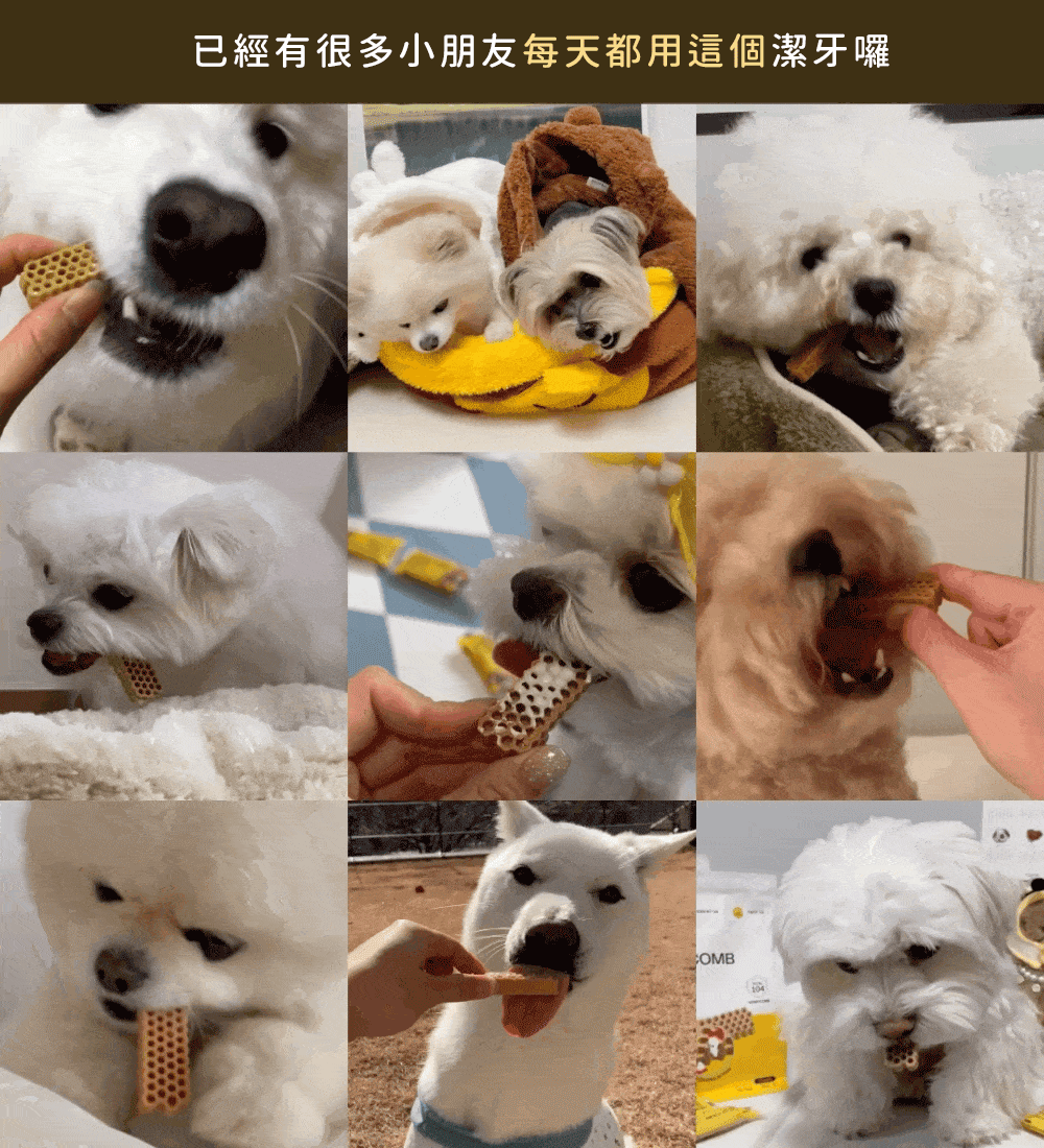 6200_6a50c99ad6509.gif