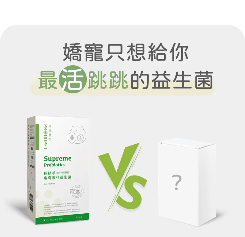 6200_6a6b929137cd0.webp