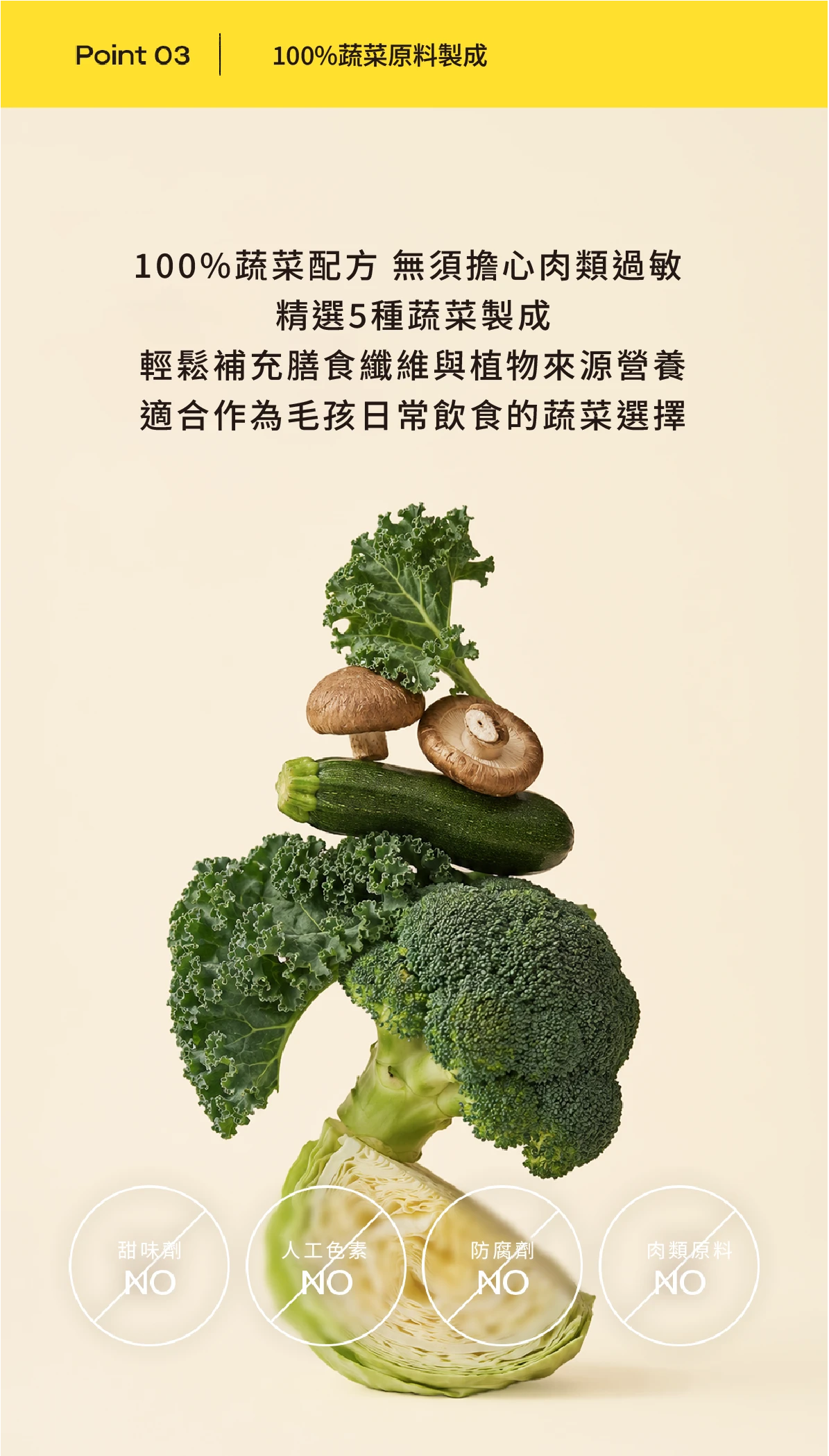 6200_6a92cb2eb35ed.png.webp