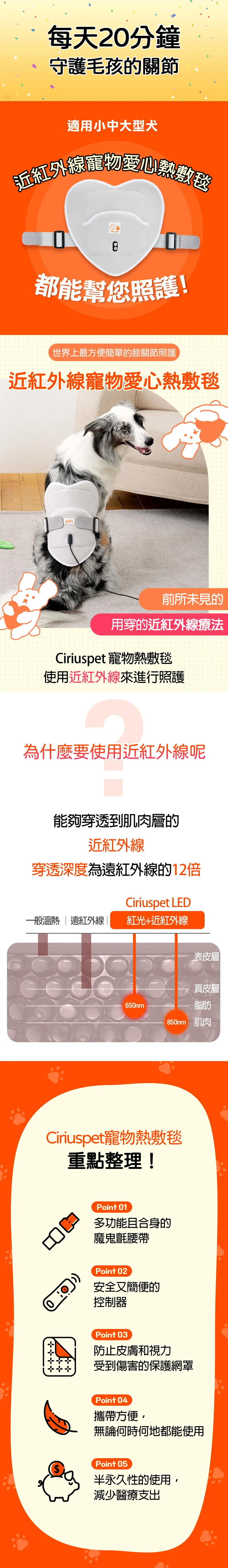 6200_6aace3cec956f.webp