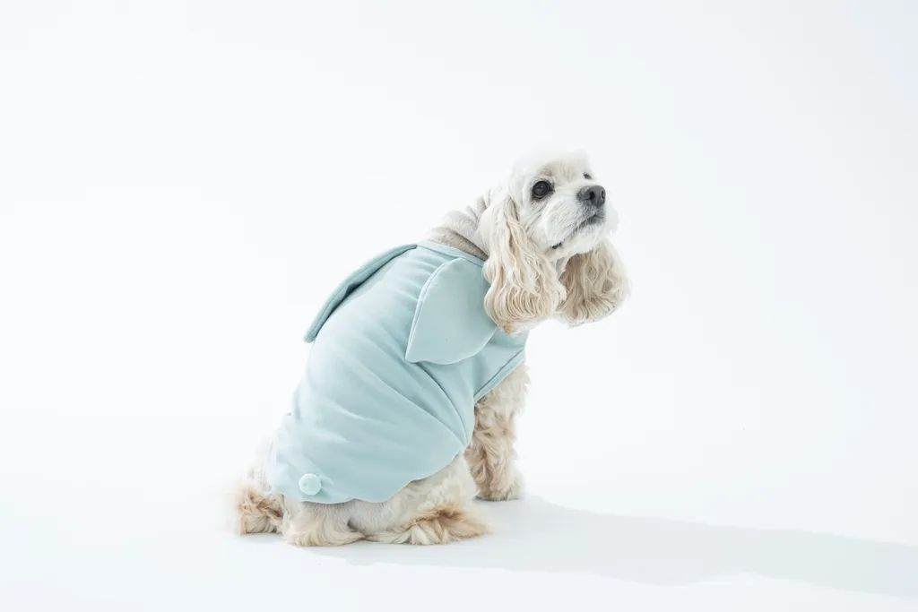 Puppy Gallery🇰🇷 Cozy 兔寶寶背心 莫蘭迪綠