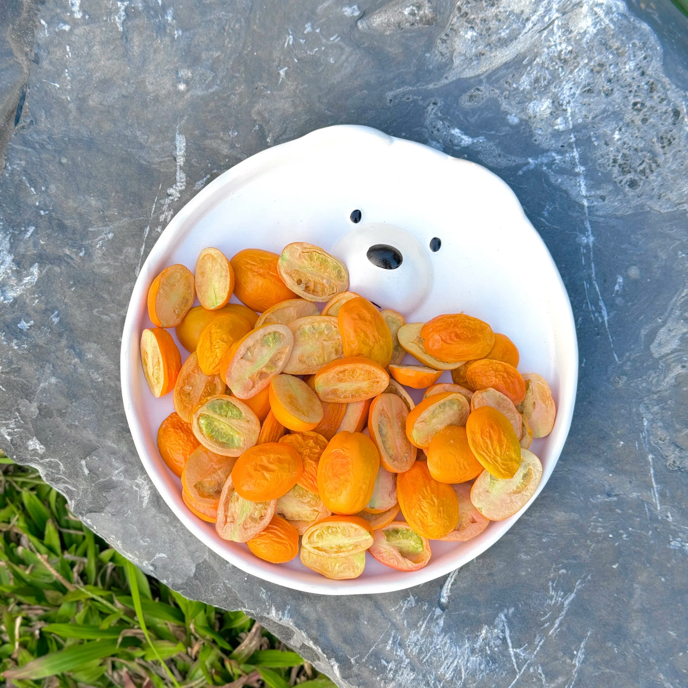 冷凍乾燥 小蕃茄 Tomato