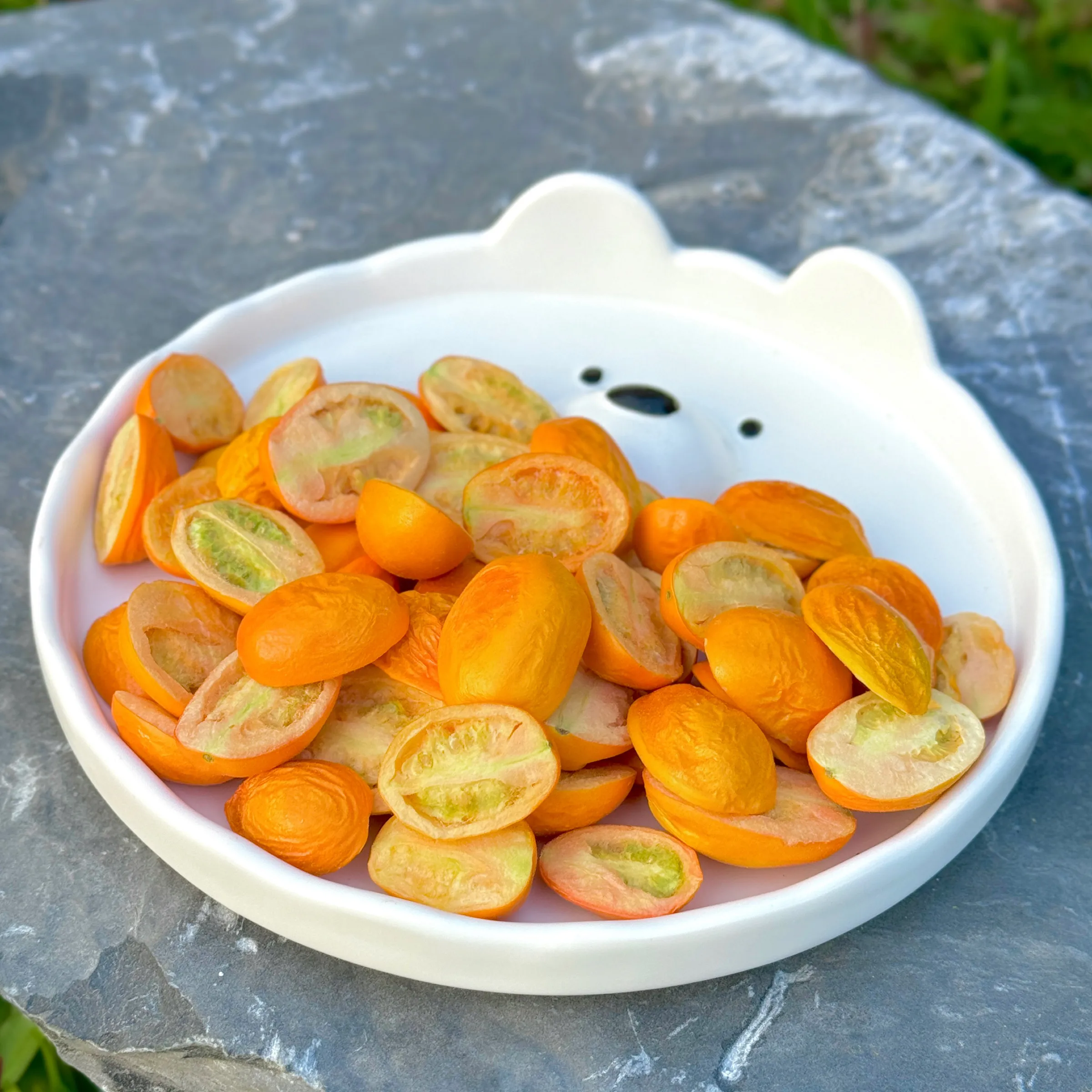 6200_6ad3301913779.webp