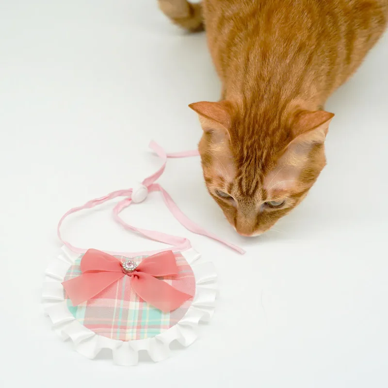6200_6adcf08be4c71.webp