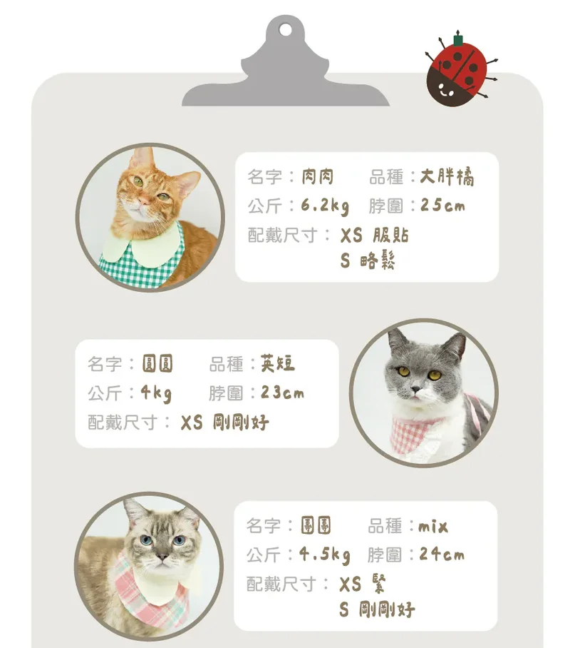 6200_6adcf08f29d91.webp
