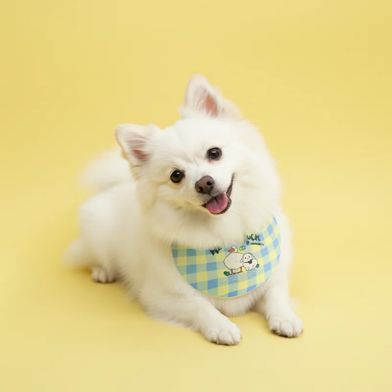 6200_6ae06a1957e7f.webp