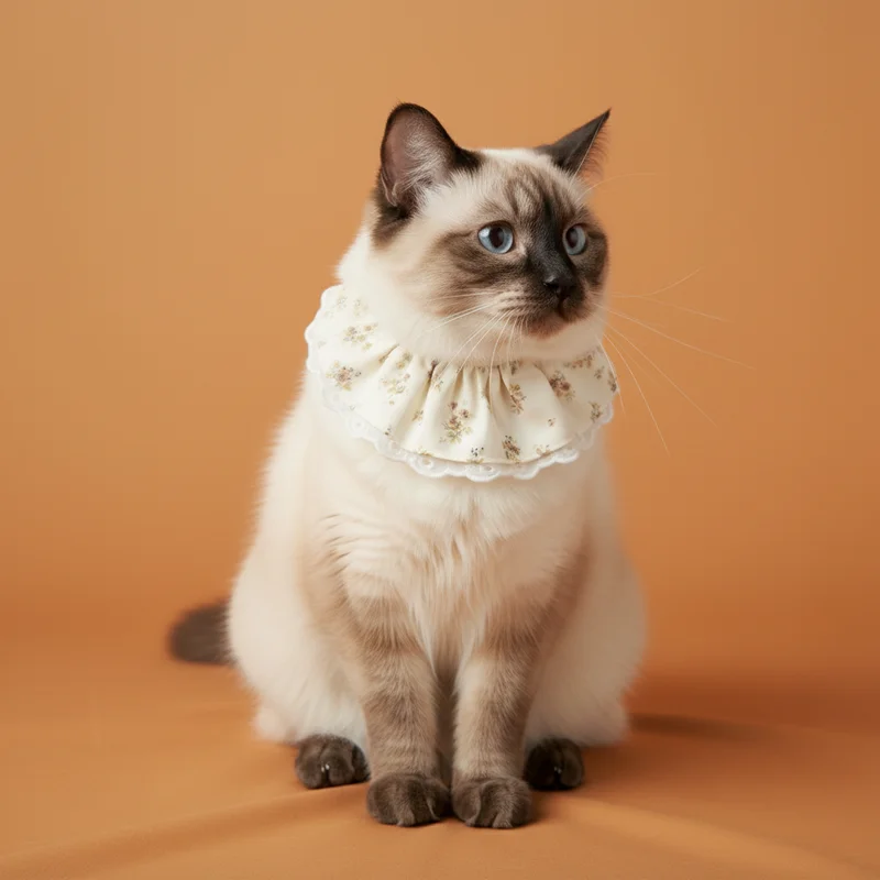 6200_6ae06a9db2e35.webp