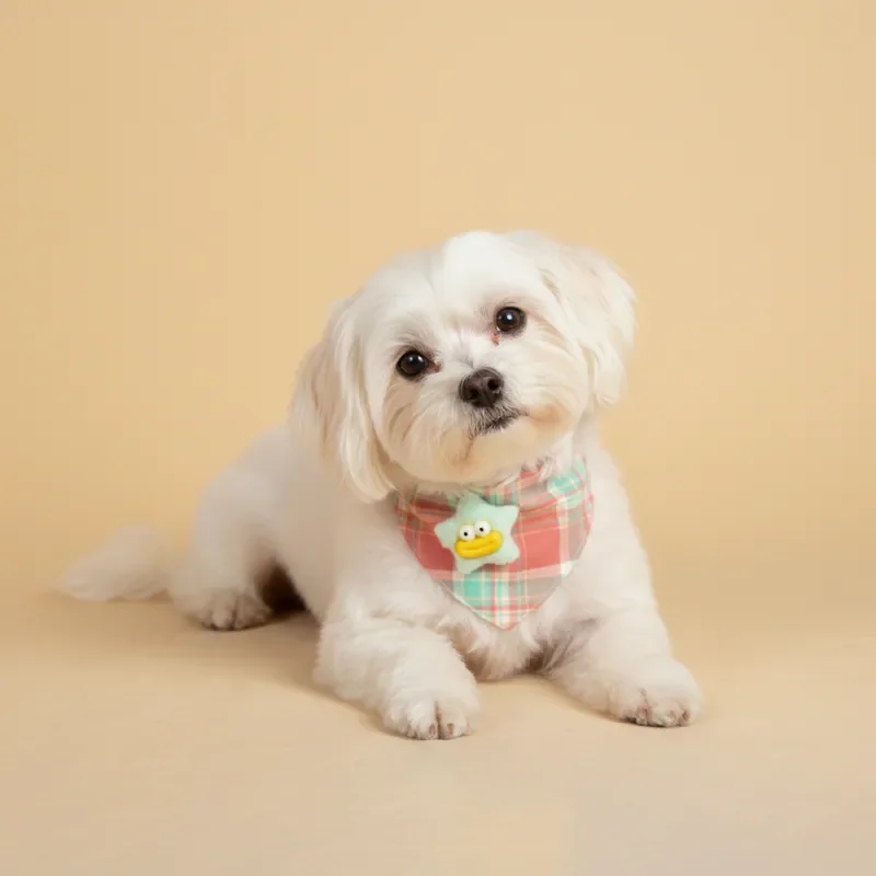 6200_6ae06aab06c35.webp