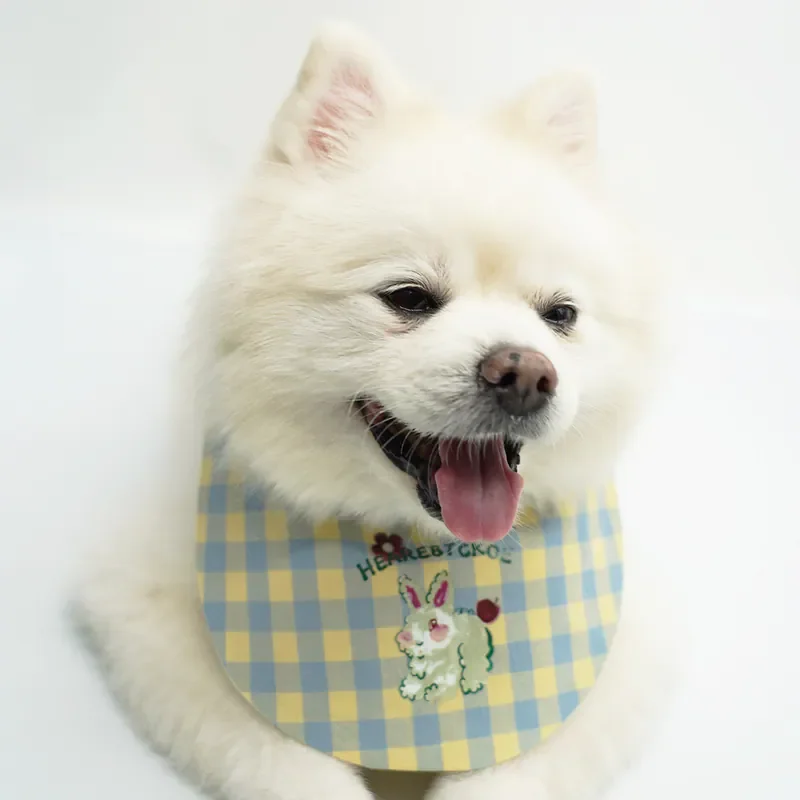 6200_6ae06ad1563d7.webp